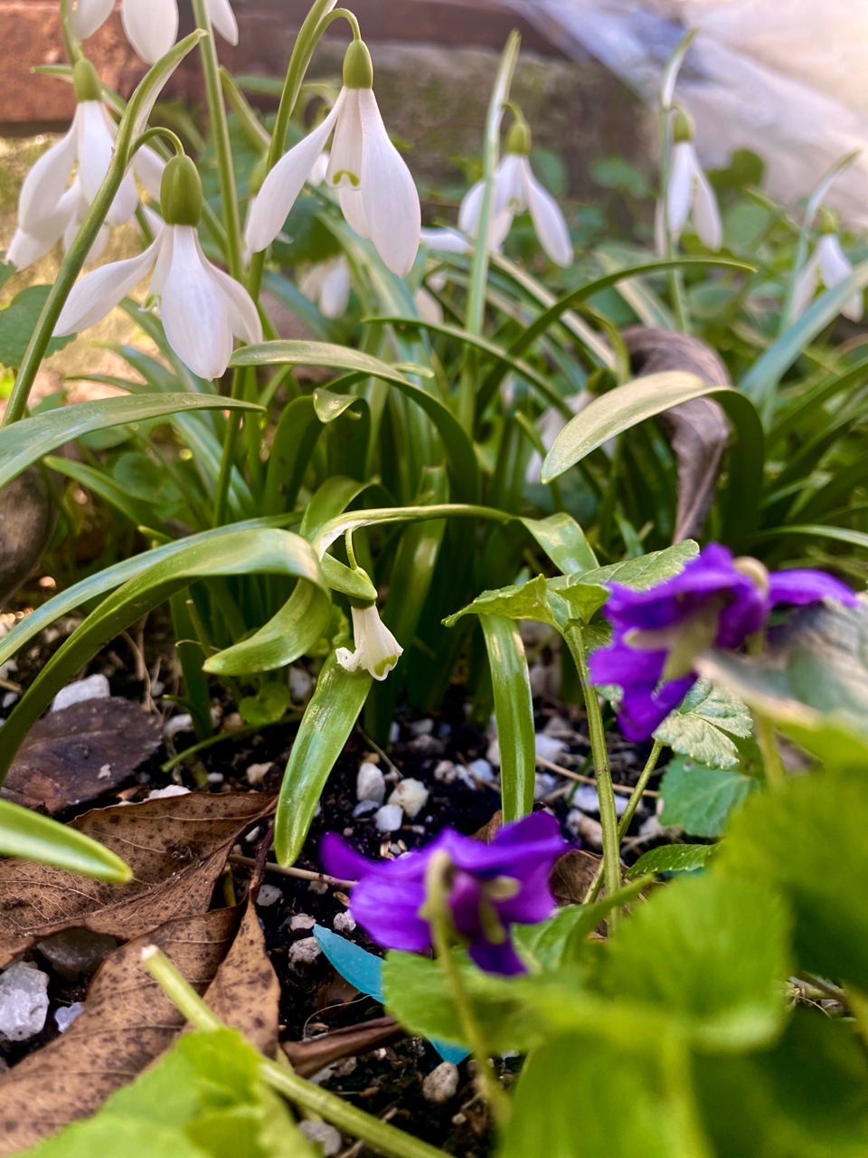 nina_melekhova в LOOKY — фото 5