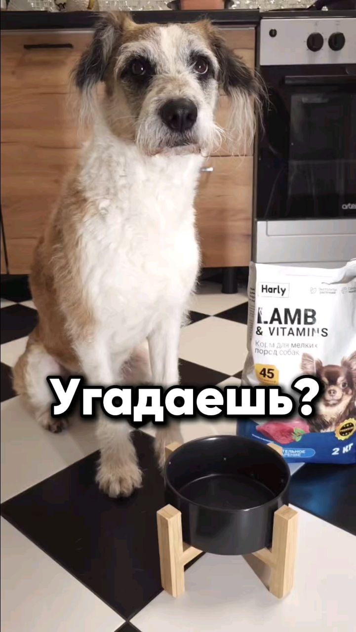 Harly_Miami в LOOKY. . Не подведи. Если у т...