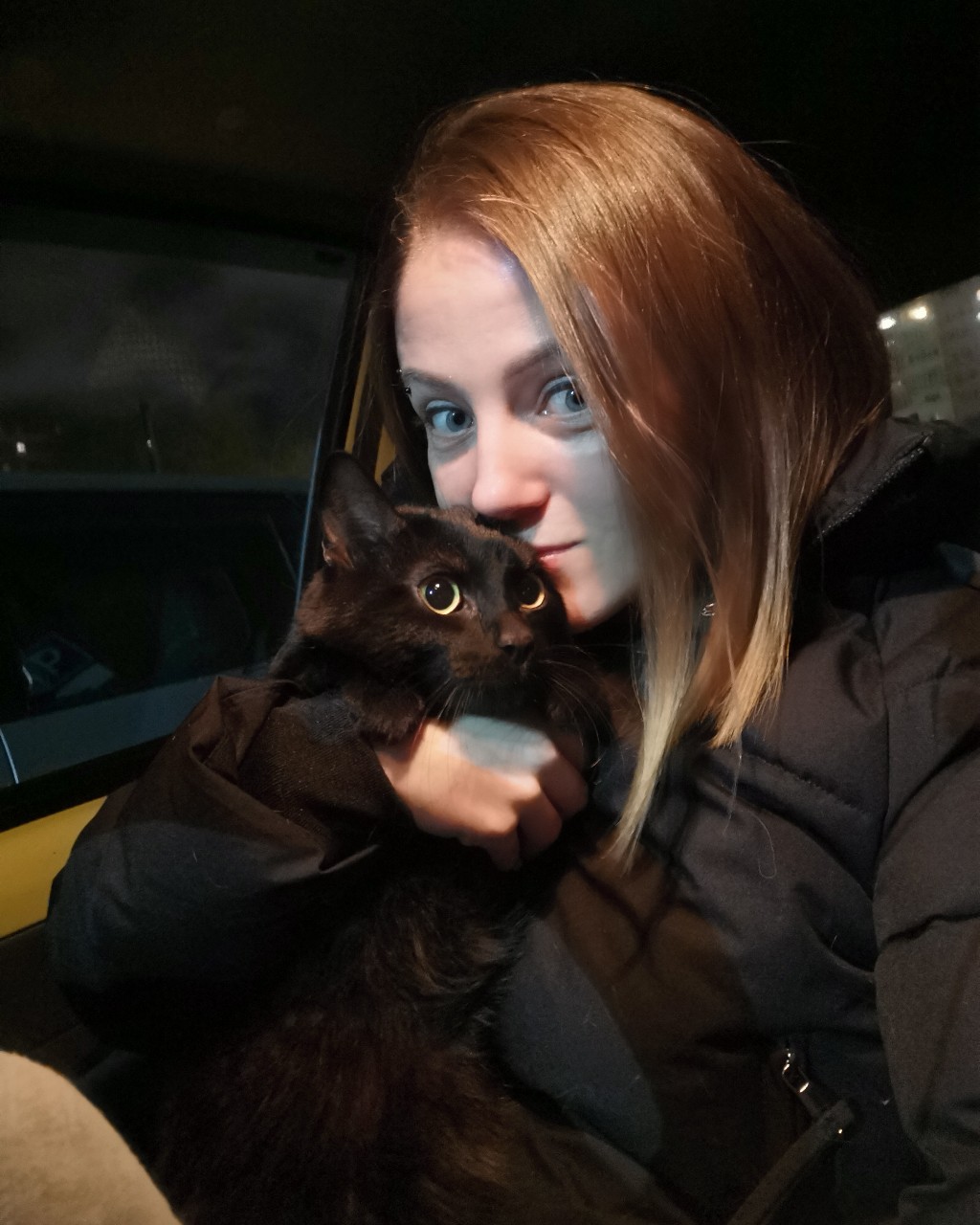 Кто-то с собаками ездит в машине, а мы ведьмы любим котиков😁