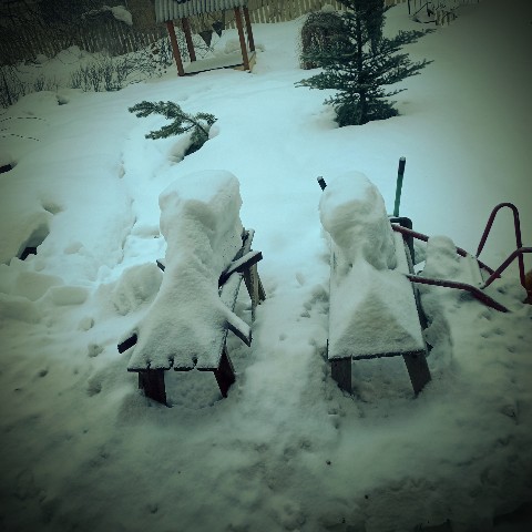 anymotionss в LOOKY. . Зимний загар
