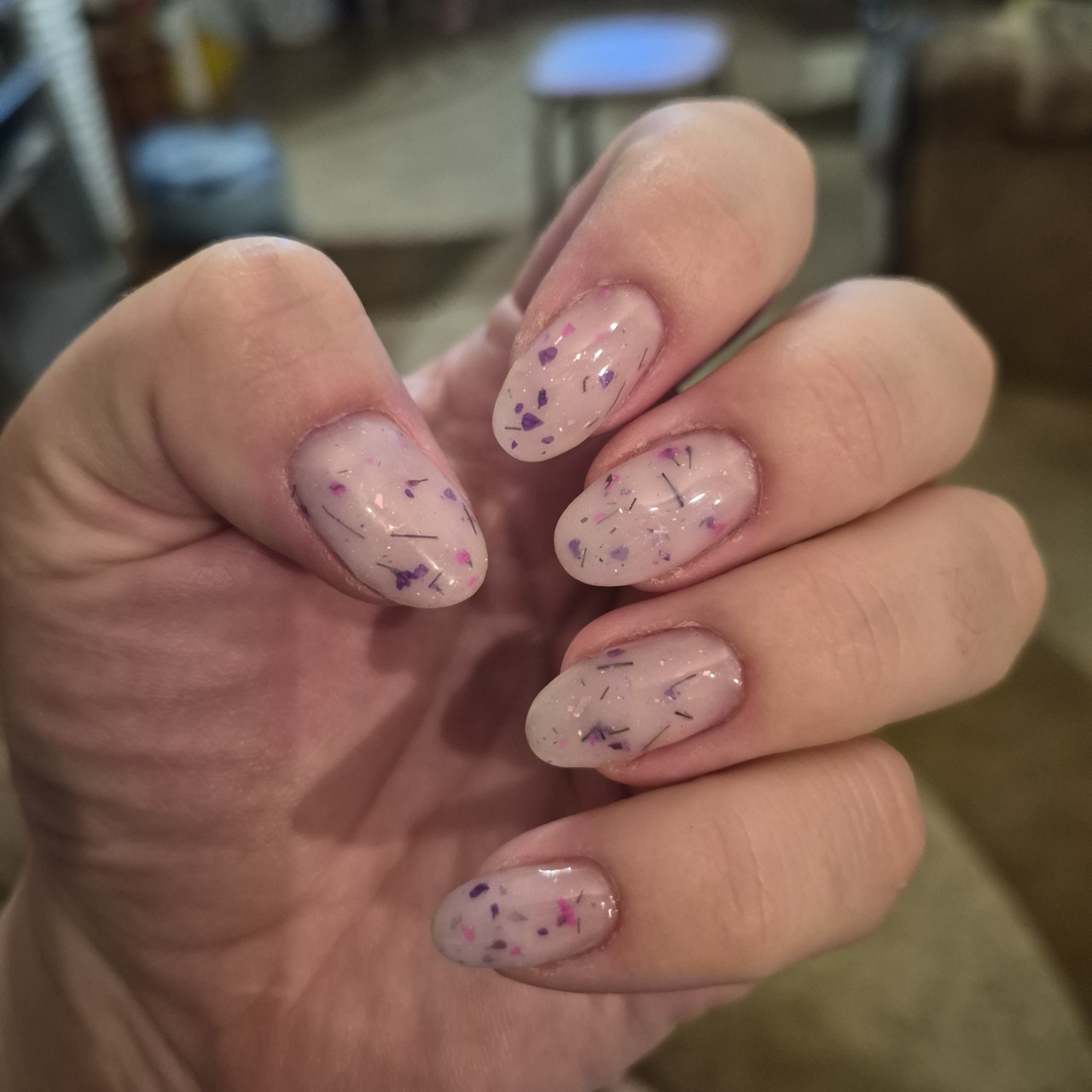 Сухоцветы прекрасны🌸