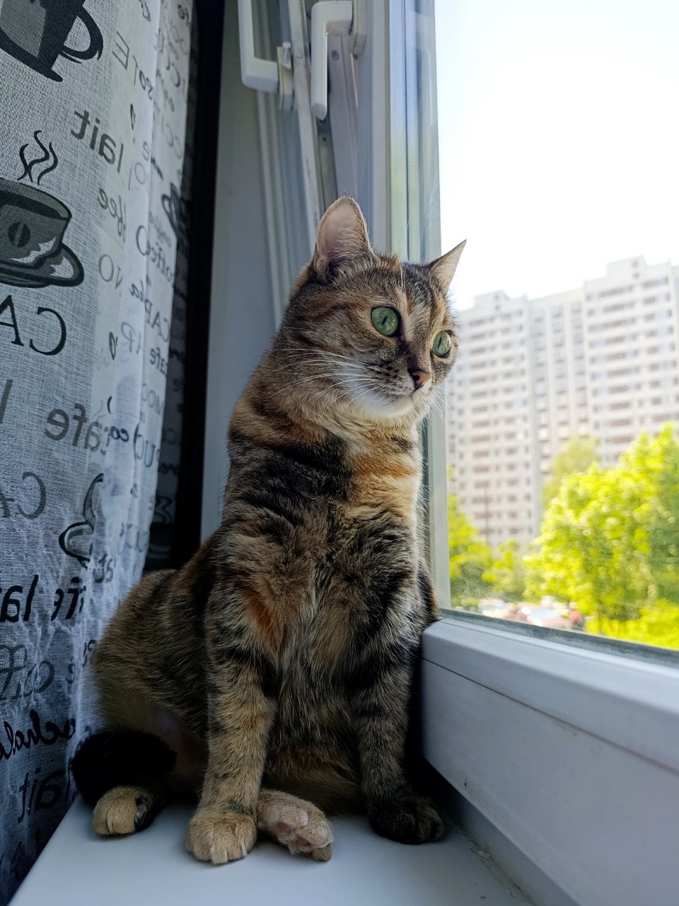 Пузырёк редактирует😀😺😽