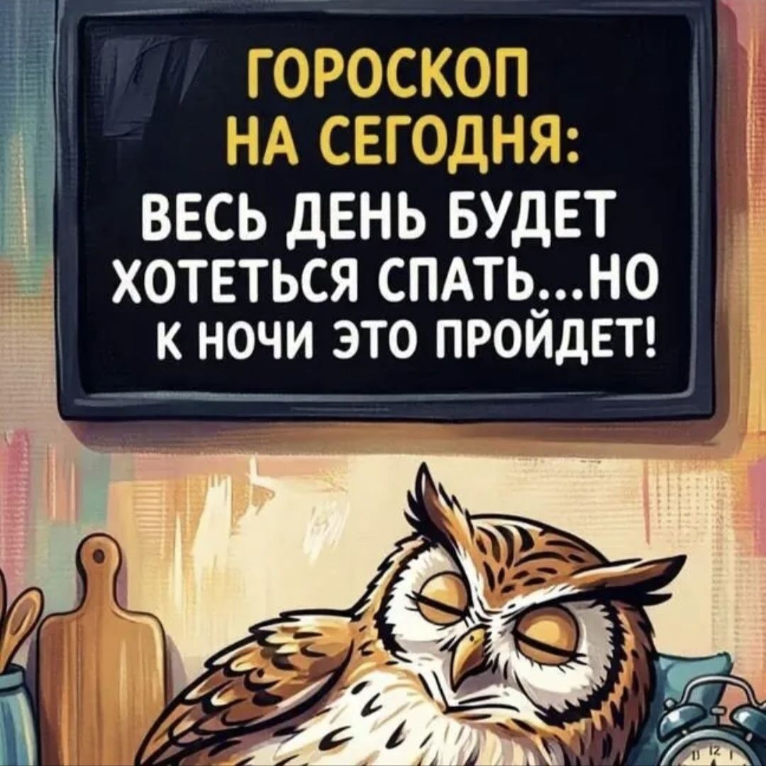 SunSun в LOOKY — публикация