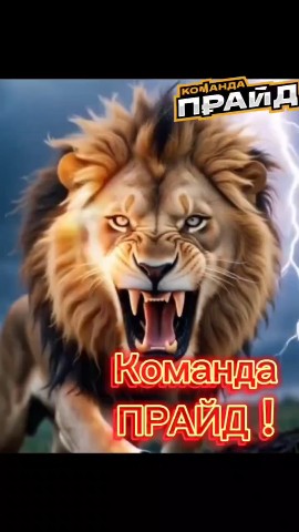 Виктория Кунгурова в LOOKY. #успех#мотивация,#начнисейчас,#Прайд,#дисциплина,#личностныйрост. #успех#мотивация #на...