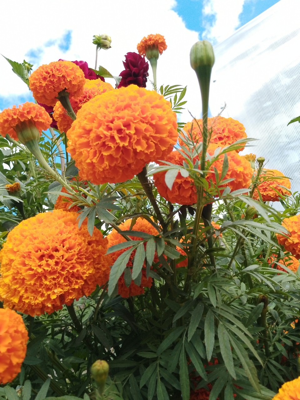Yankova_Nata в LOOKY — фото 6