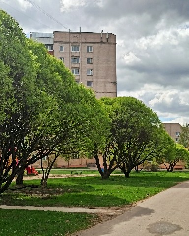 d4rk_r4bbit в LOOKY. #city. ...



[#photo](phot...