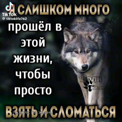 Владимир in LOOKY. . 