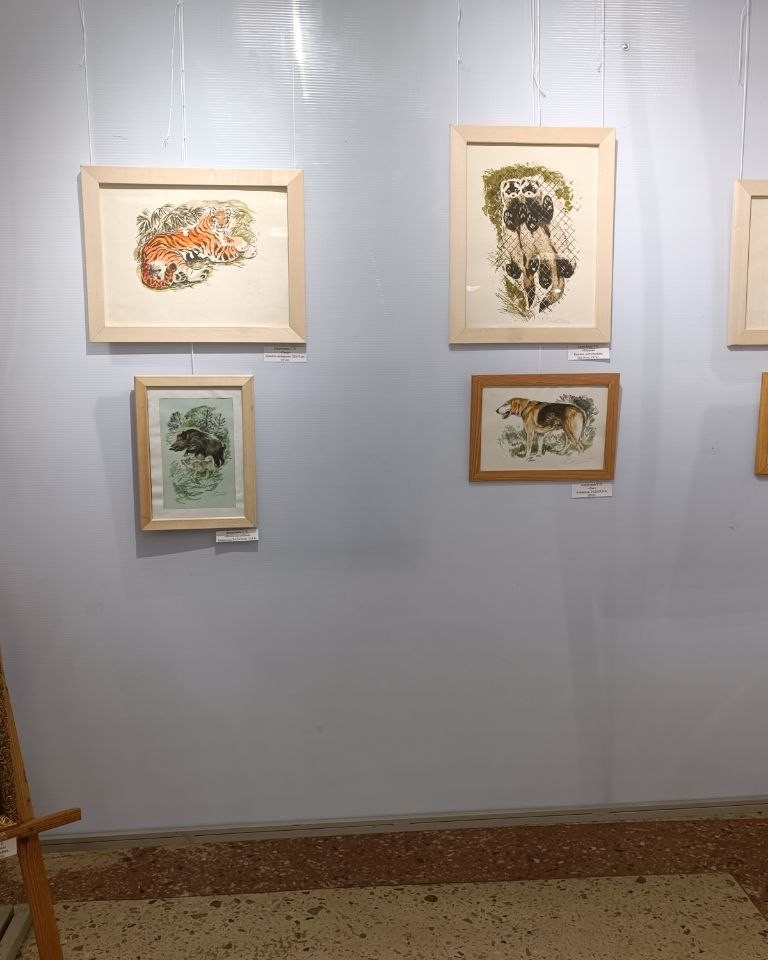 bogodyazh77 в LOOKY — фото 5