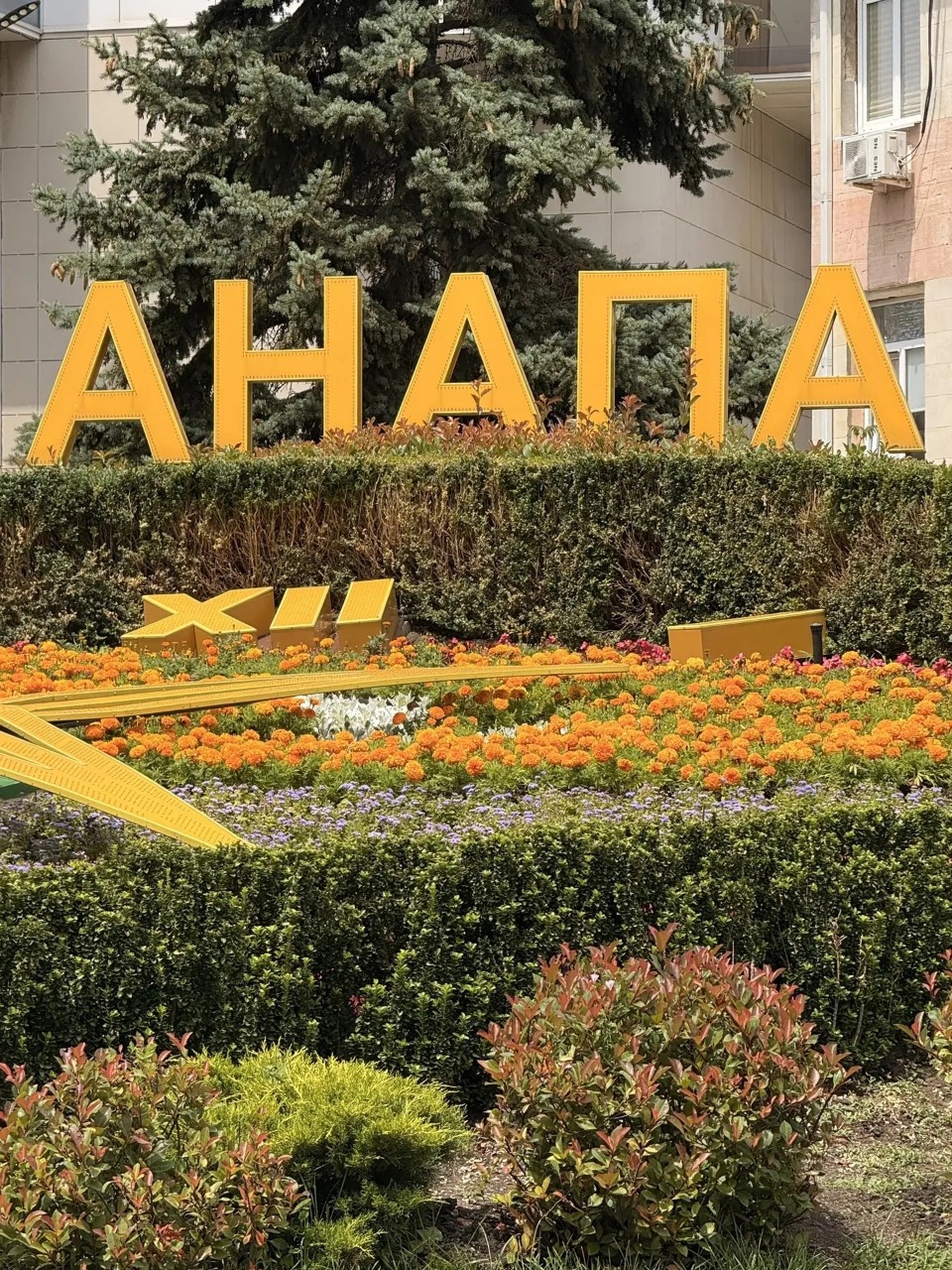 Надежда в LOOKY — фото 1
