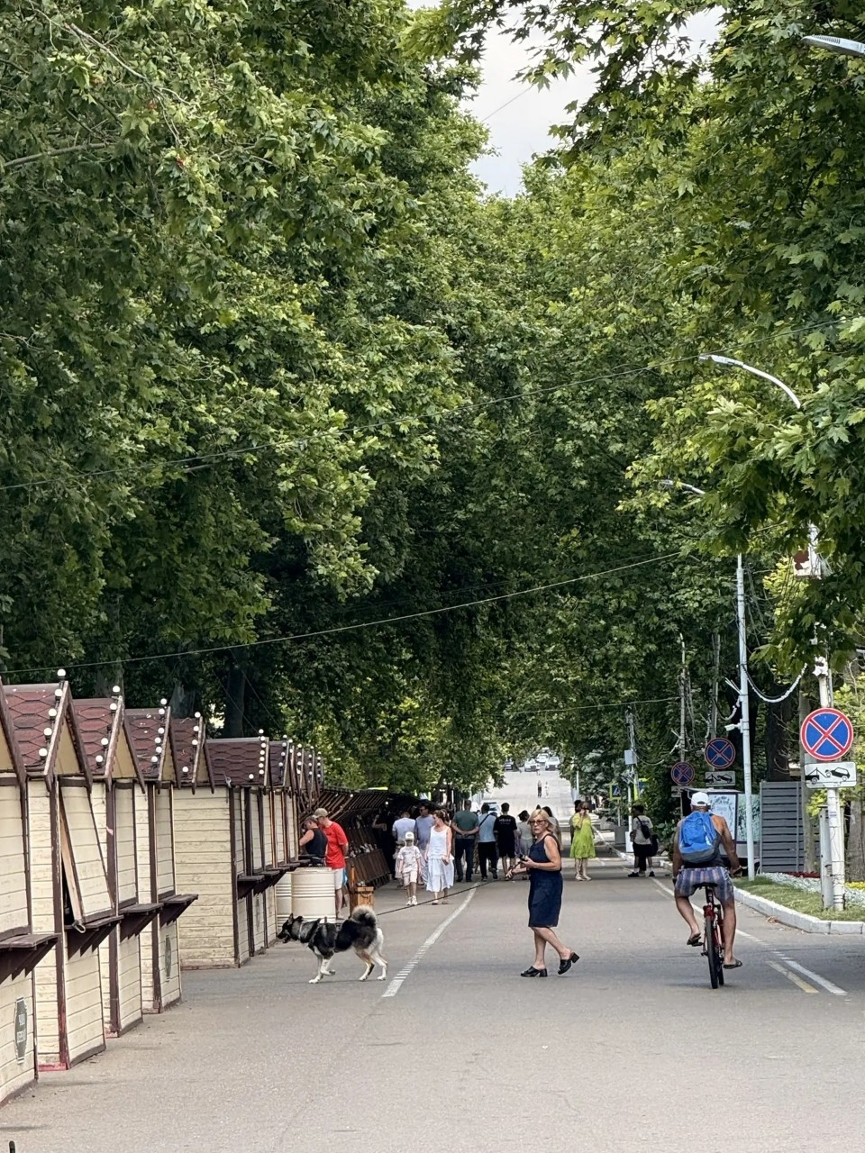 Надежда в LOOKY — фото 3