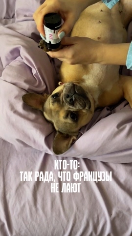 Зина и Майки in LOOKY. #276247301. Французский бульдог ...