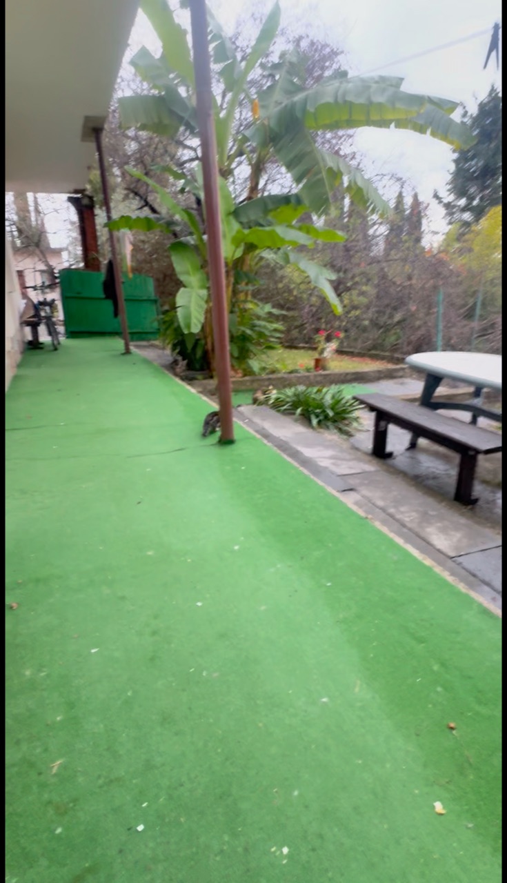Наташа в LOOKY. #котики. #котики мама-кошка у...