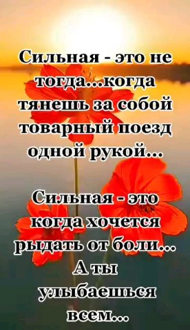 ВОЛК СЕРЫЙ в LOOKY — публикация