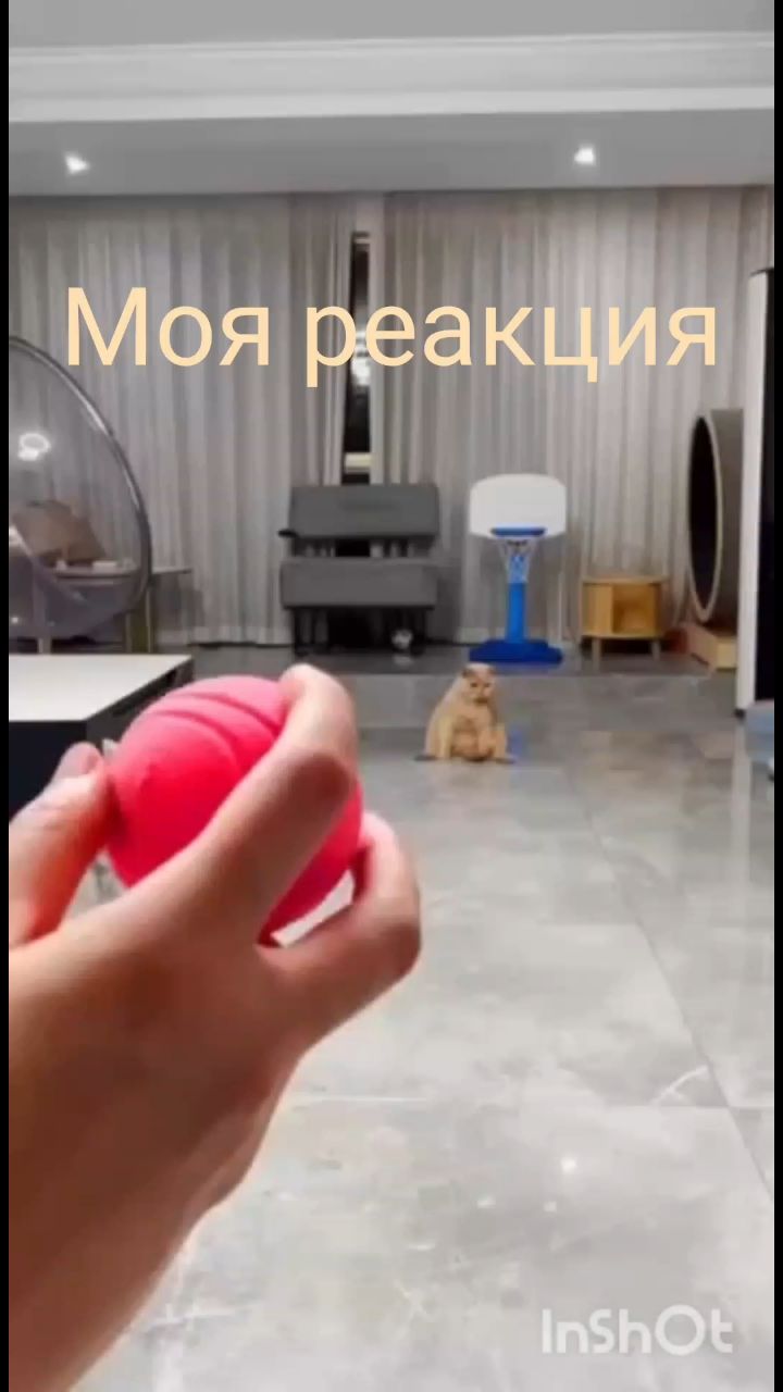 Alligator 76 в LOOKY. . Ни что не вечно 😂