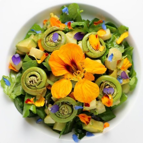MicroGreens from Ladymari в LOOKY. #MicroGreensLadyMari,#МикрозеленьДома,#ППРецепты,#ЗдоровоеПитание. 🌿💚 ПРИВЕТ ОТ СИТИ ...