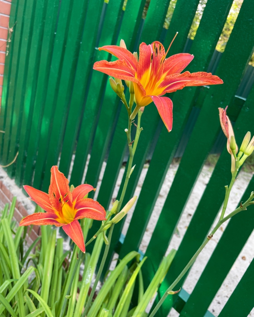 lark_bratenska в LOOKY — фото 5