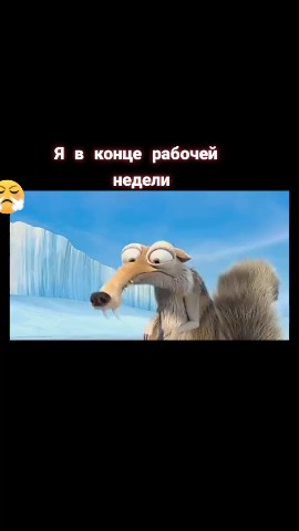literator_99 в LOOKY. . 