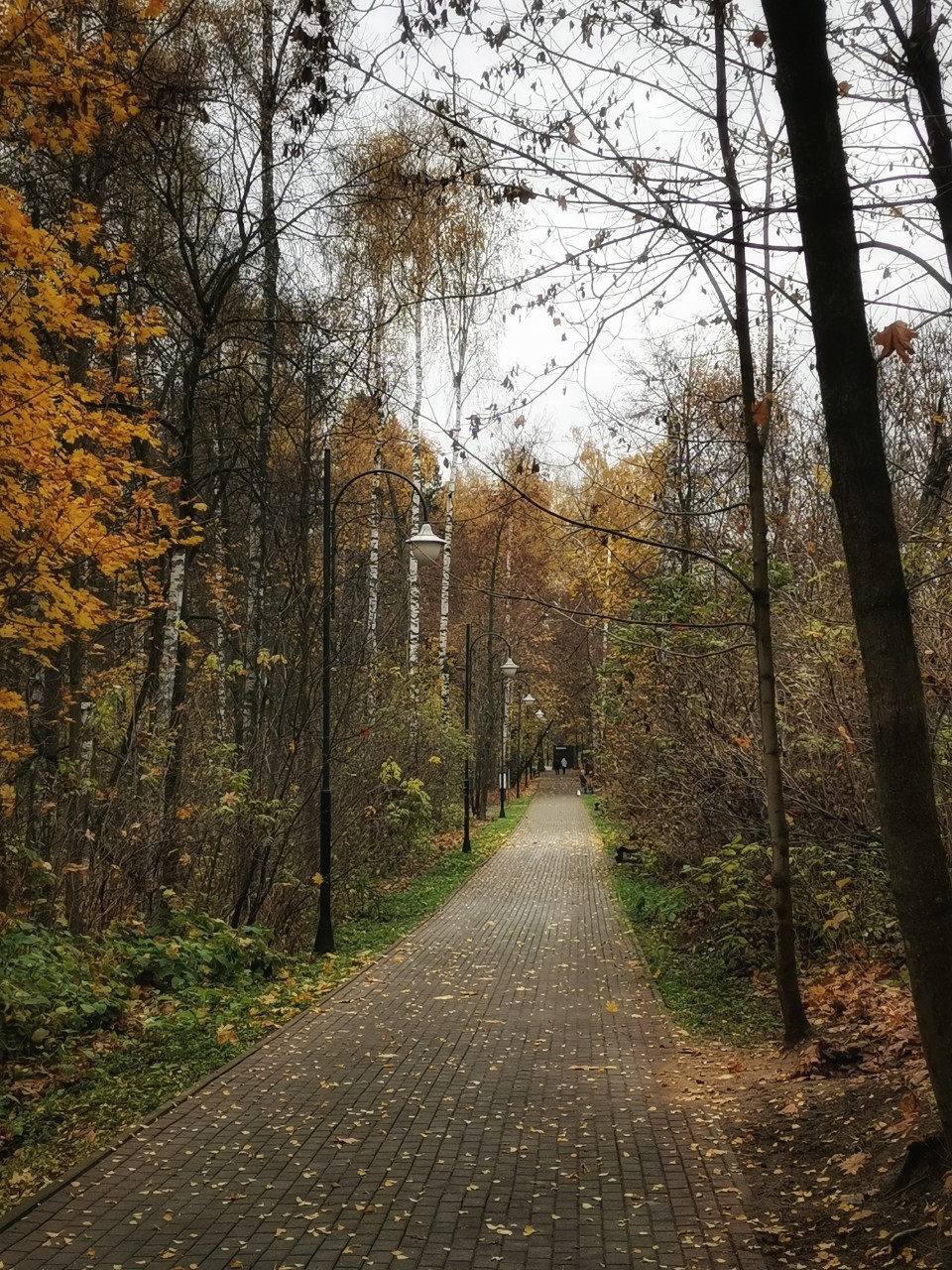 Looky_176371680537371 в LOOKY — ✨Осеннее 🍂

#фото #осень #природа #looky #looky_Top #looky_