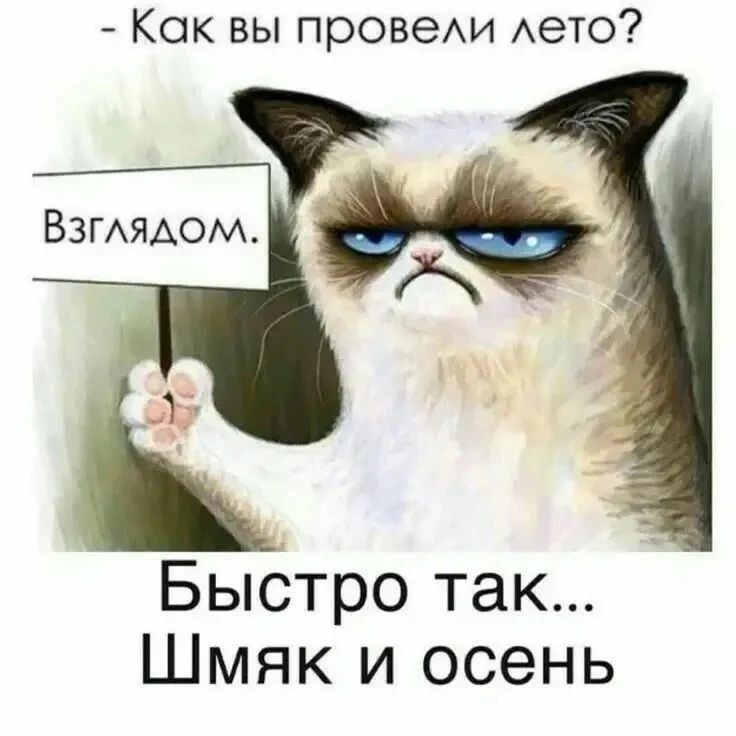 новикова надежда в LOOKY — публикация