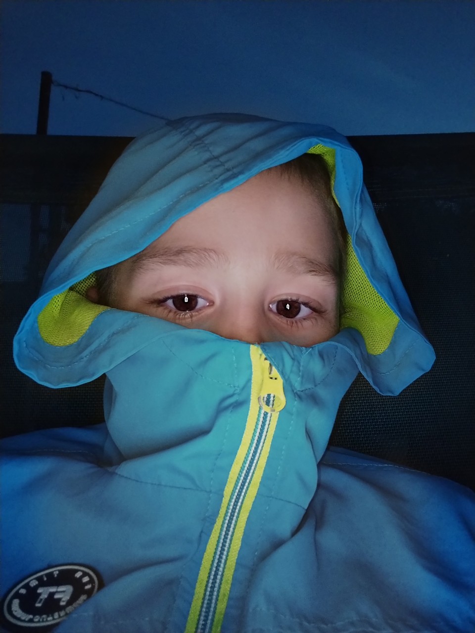 Тихий Лис в LOOKY — публикация