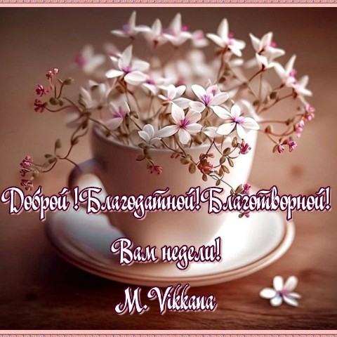Looky_1675712114175 в LOOKY. #пожелание. Доброй недели!🌿🔆🌷...