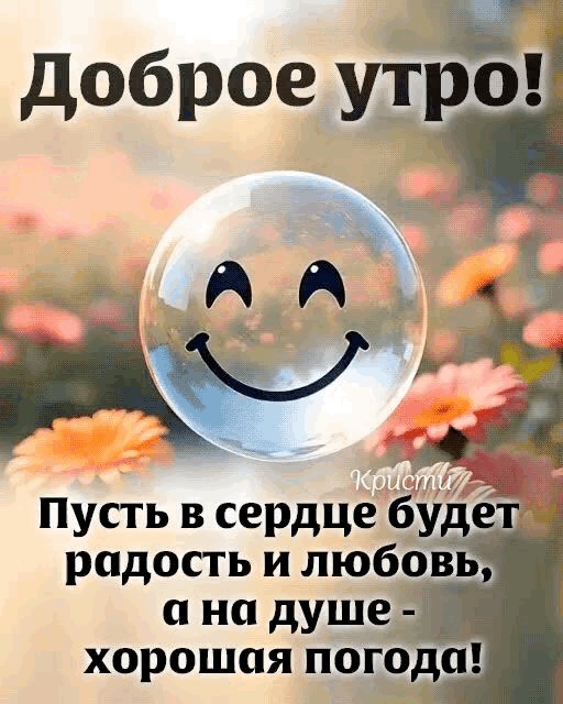 Киса в LOOKY — публикация