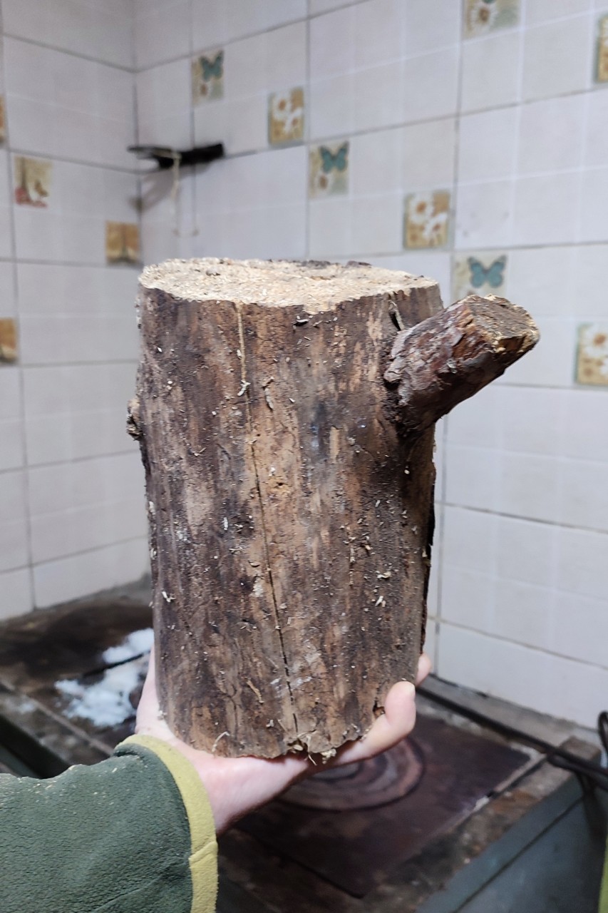 В руках дворника было обнаружено полено, которое оказалось Буратино.😂
©️Иоанна Мак
[#полено ](полено)[#сказка ](сказка)[#юморжизни ](юморжизни) [#дерево ](дерево)