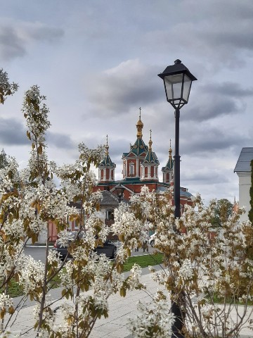 Волька в LOOKY. . Цветущая Коломна
[#к...