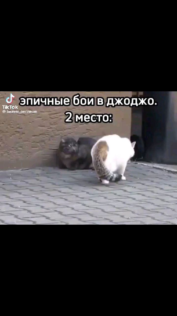 Looky_178742642444431 в LOOKY. . 