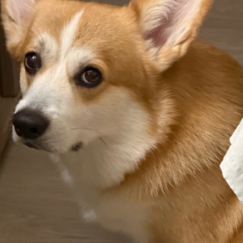 looky_user6 в LOOKY. . Doggy
лллллллл
лсдад...
