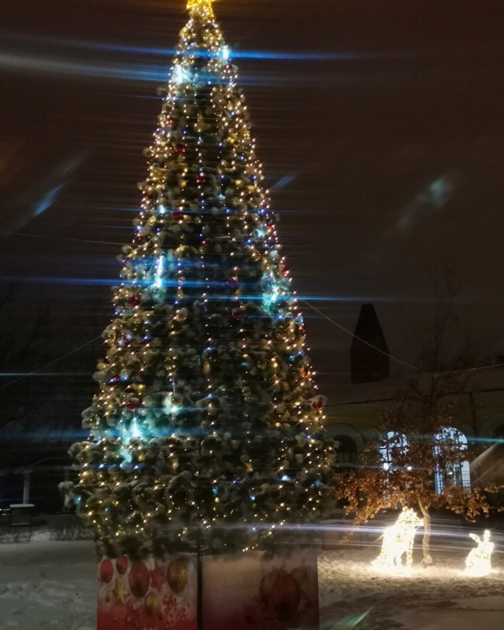 Kanakeira в LOOKY — Ёлочки нашего городка🎄

#ЦарскоеСело #Пушкин #СНовымГодом #