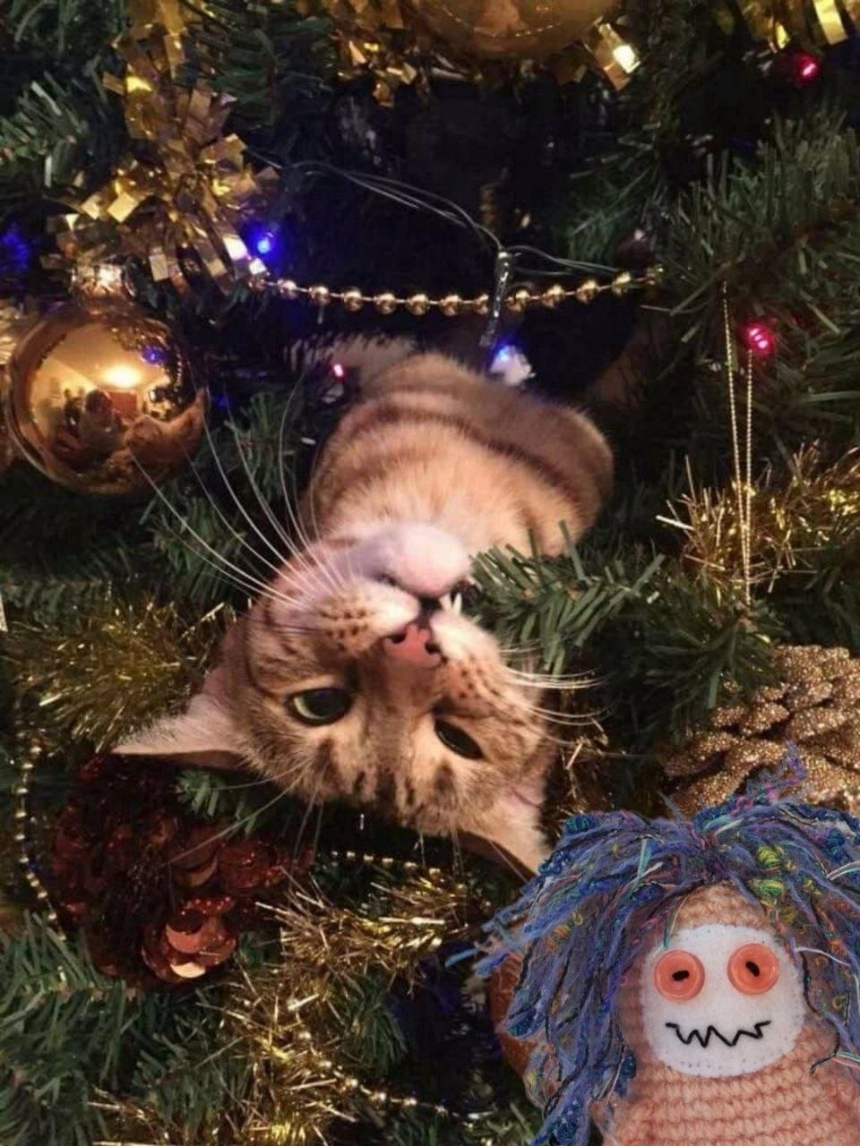 LOOKY_official в LOOKY — 🗓️ 33 дня до Нового года!

Автор — [@dobrochudik ](rn-looky