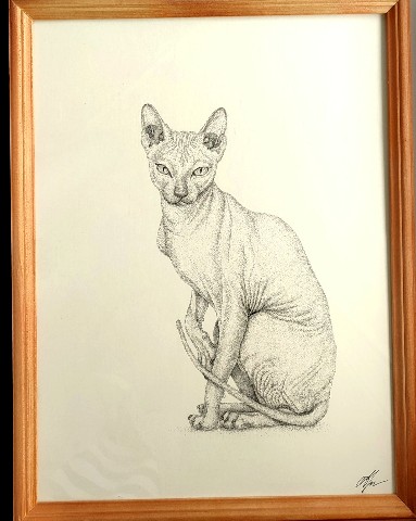gaiagallery.sid в LOOKY. #точки,#рисунок,#графика,#рисунокточками,#кот,#кошка,#котики,#pendraw,#cat,#cats. Лысик.
[#сфинкс](сфи...