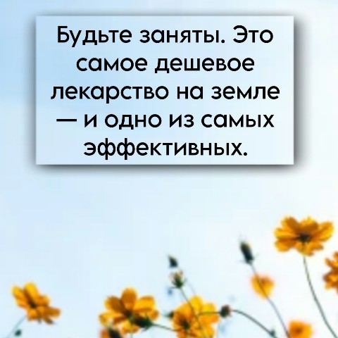 Счастье где-то рядом в LOOKY. #месяцполезныхсоветов,#день15,#другоедело,#looky,#delolooky. #месяцполезныхсовето...