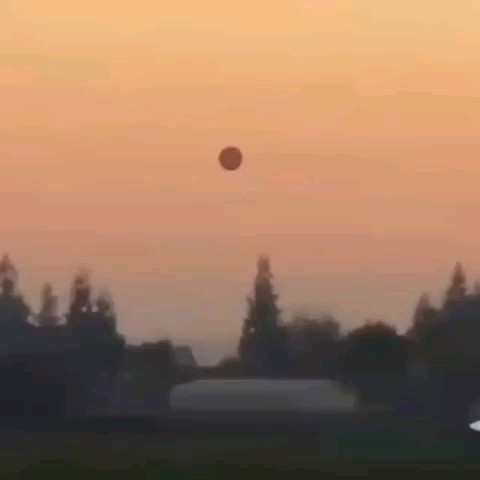 Looky_175568195426337 в LOOKY. . https://max.ru/topse...