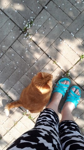 Looky_1667989968518 в LOOKY. . 