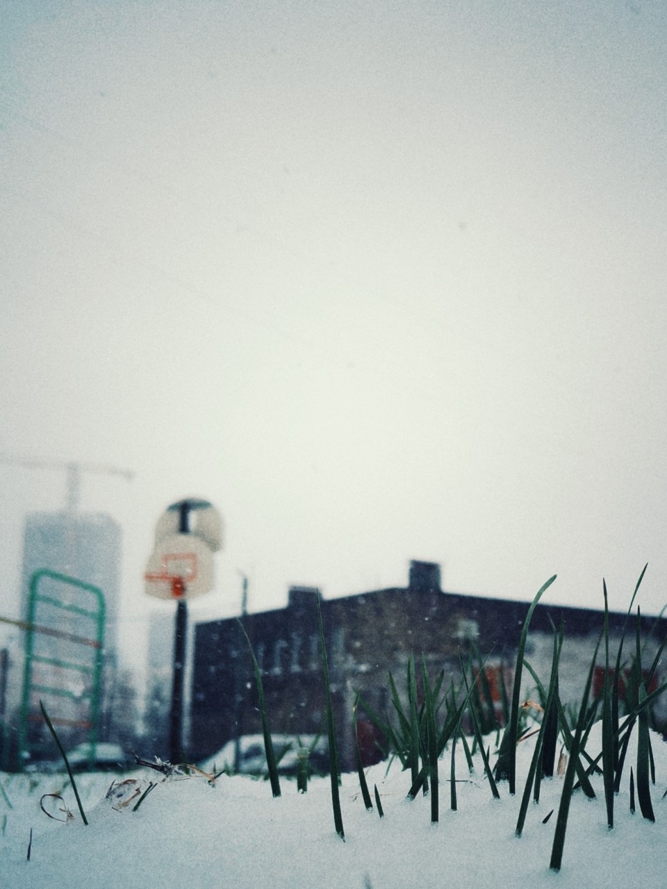 Quazar в LOOKY