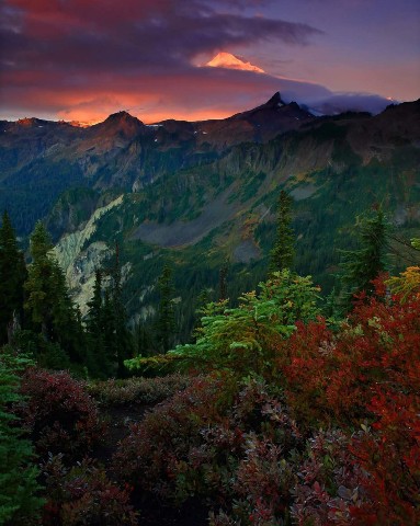 Mofassel в LOOKY. #wow. #wow
