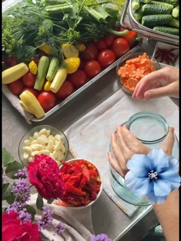 Светлана в LOOKY. #ассорти,#консервация,#огурцыпомидоры,#дачаводоеве,#вкуснаязима. У нас сегодня на дач...