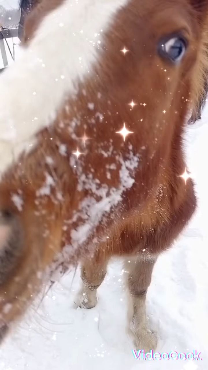 Ирина в LOOKY. . Нашла старое видео!!...