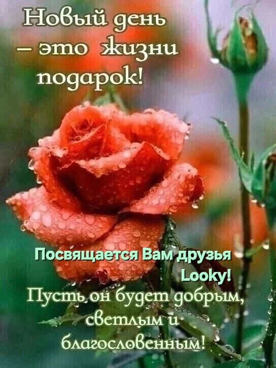 ДедМед в LOOKY — публикация