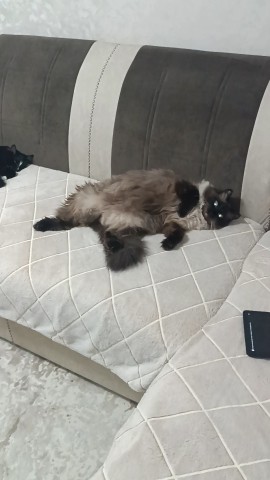 Ольга Marina в LOOKY — Зайка мой🥰😍🥰😍