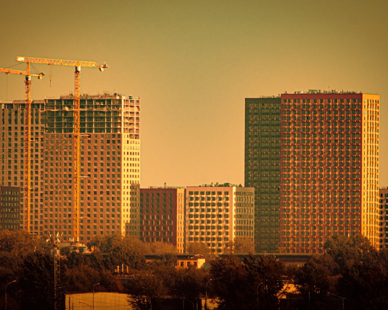 Белоус Макс в LOOKY — фото 6