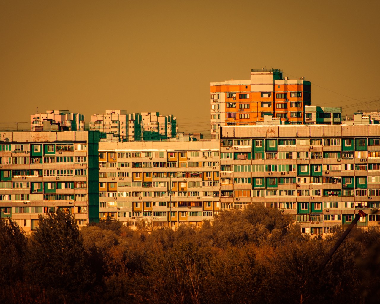 Белоус Макс в LOOKY — фото 5