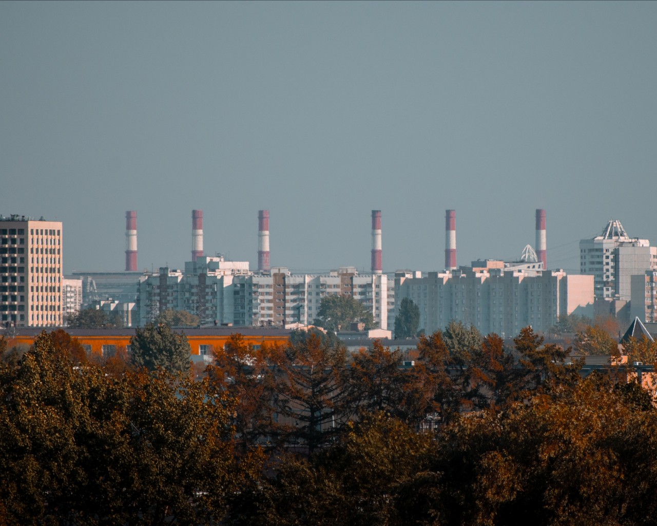 Белоус Макс в LOOKY — фото 3