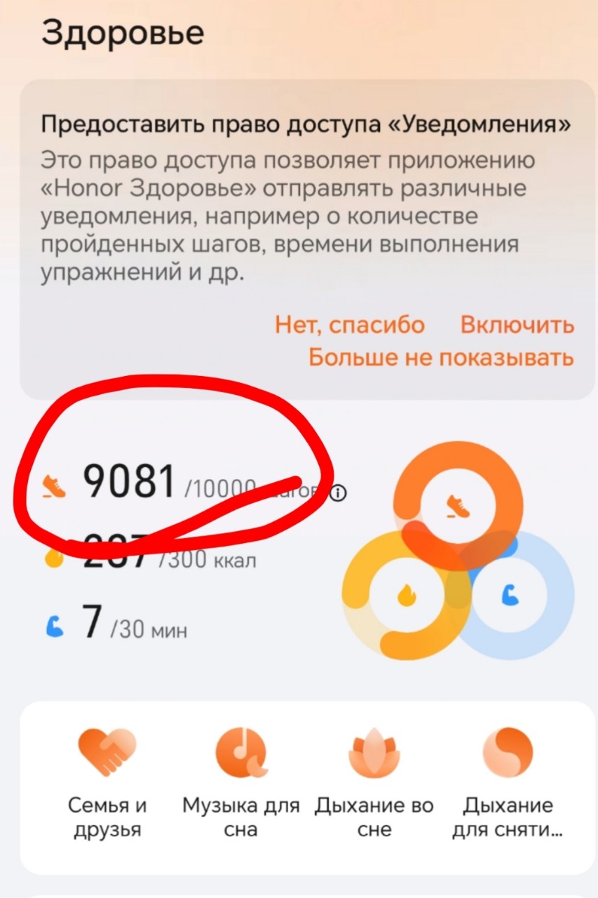 Вхожу в свой ритм после отпуска