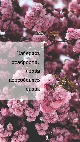 Looky_1691037067471 в LOOKY. . 
