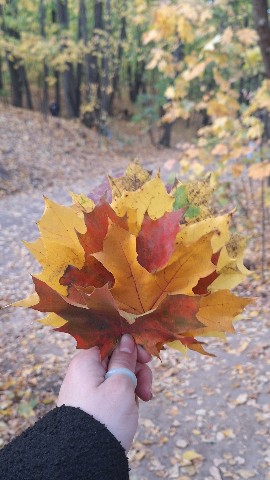 jakovenko.enji в LOOKY. . Осень 🍂