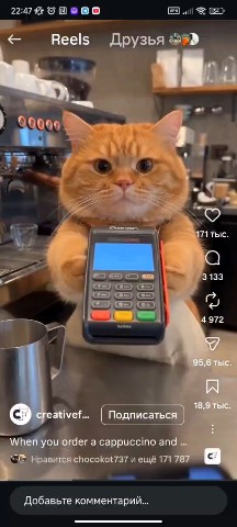  в LOOKY — На подработке 😸🤣
[#котрыжик ](котрыжик) #ИИ [#looky_нейрон
