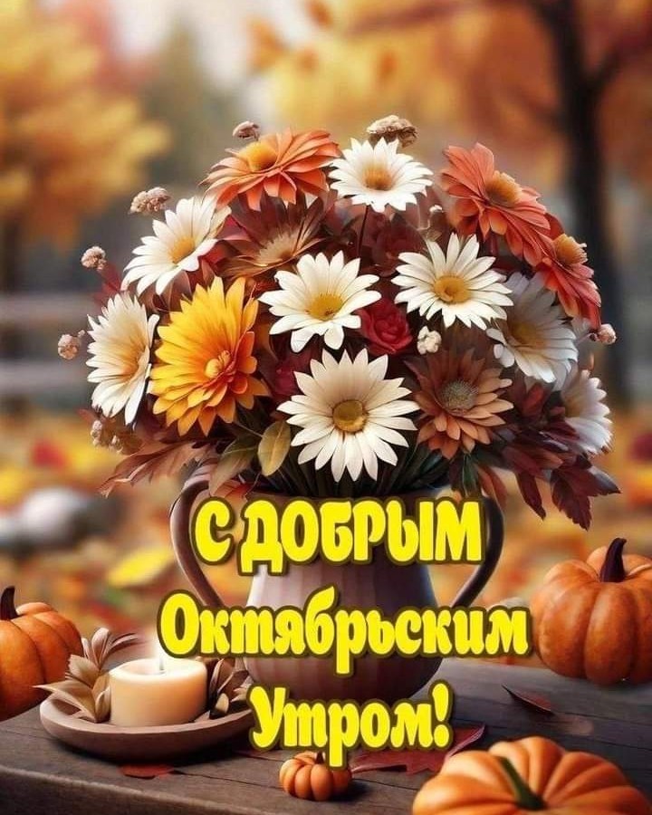 Looky_172862340228380 в LOOKY — публикация